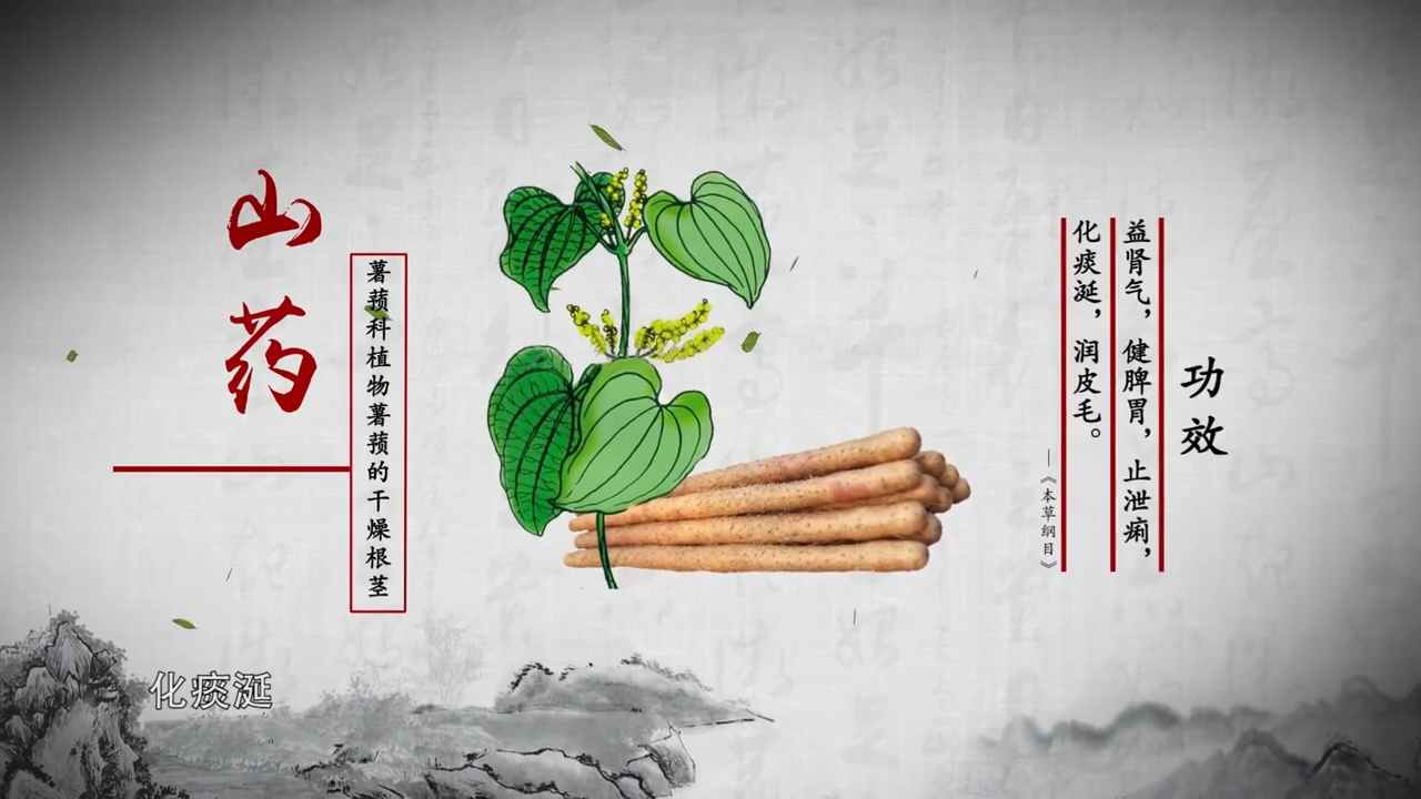 《本草中国第一季》第6集 根脉