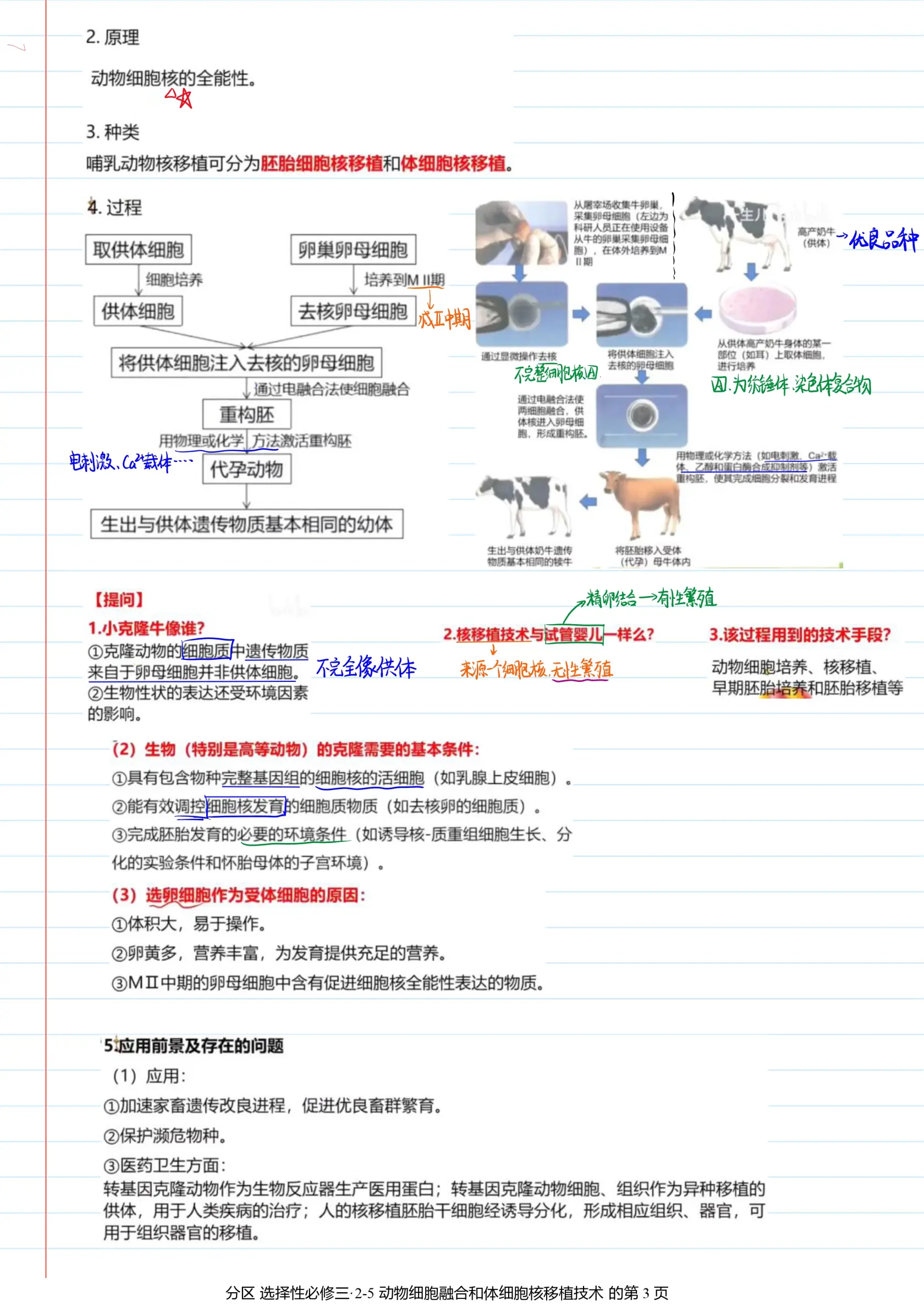 体细胞核移植流程图图片