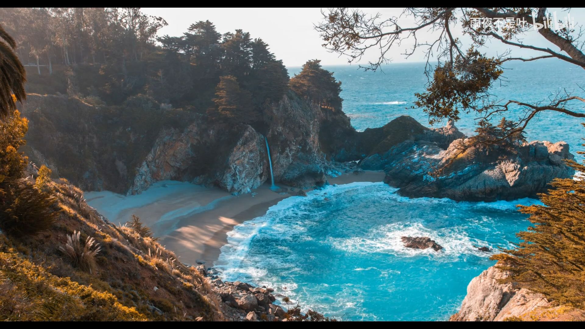 winice 21:9 2560×1080 花 类型:自然1300:01131.