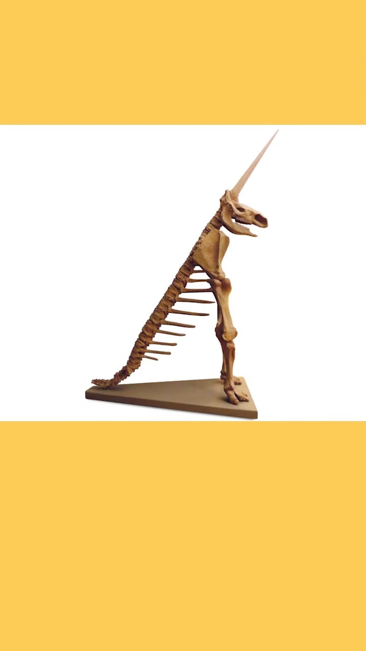 冯 格瑞克认为这些是独角兽的骨骼化石, (7007700770)当时