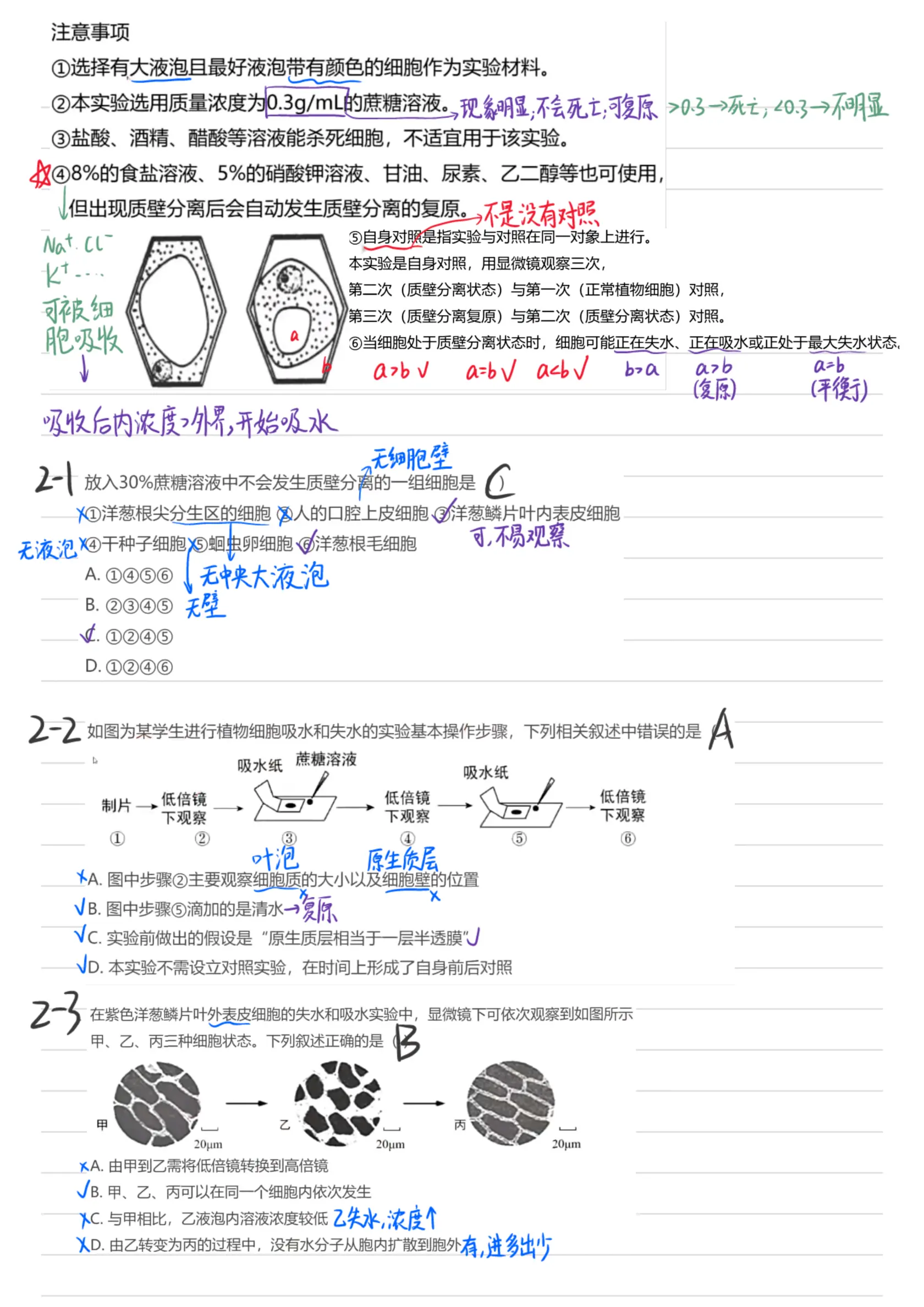 质壁分离实验和 渗透装置分析| 题型总结【高中生物必修1】生物必修一