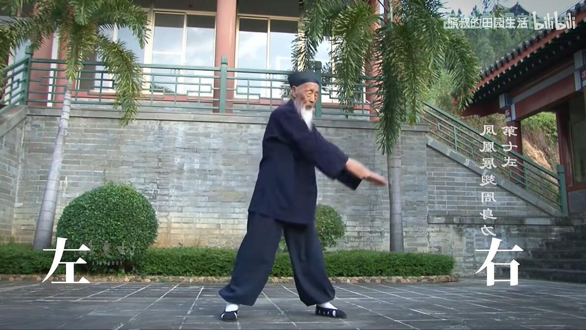 镜面版 八部金刚功(5遍版) - 哔哩哔哩