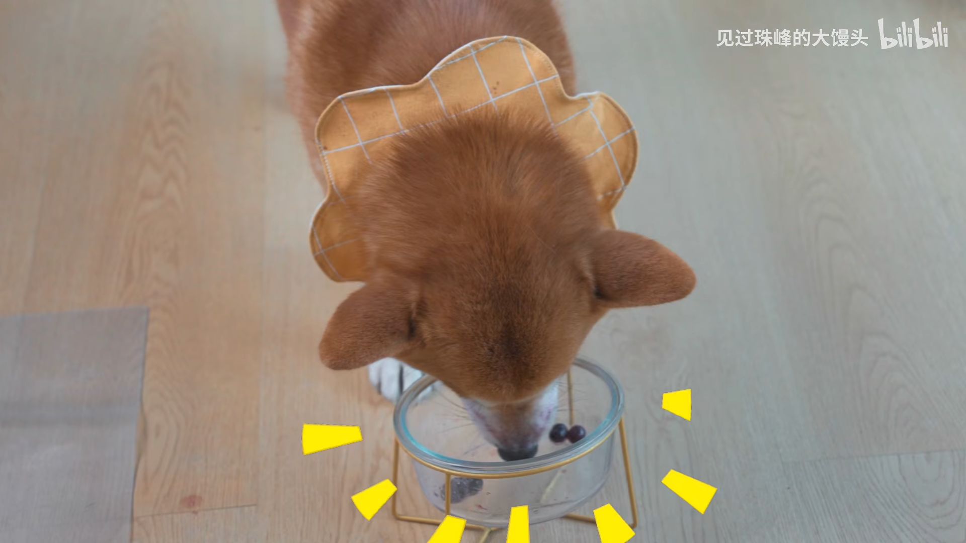 小冰棍又把小媛媛的蓝莓茶喝完了给这个up主一键三连一下吧!