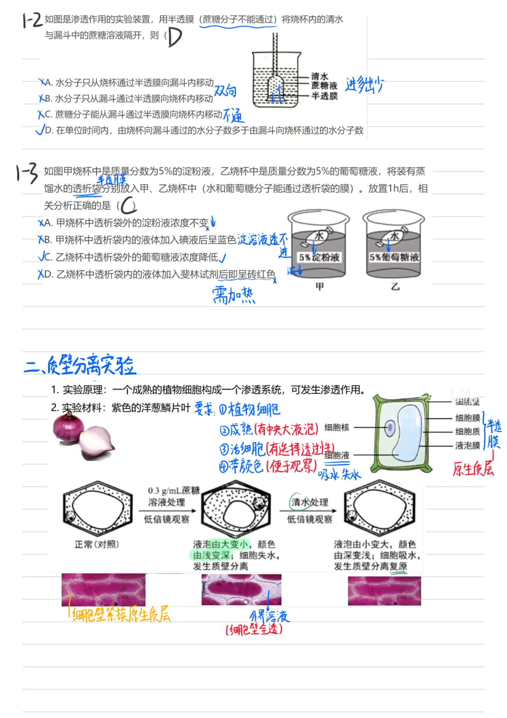 令人头秃的 质壁分离实验和 渗透装置分析来啦!