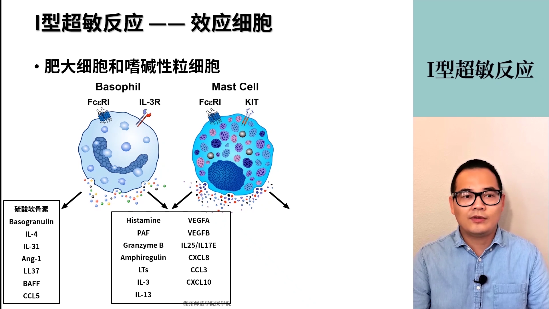 医学免疫学 第十八章_01 i型超敏反应 - 哔哩哔哩