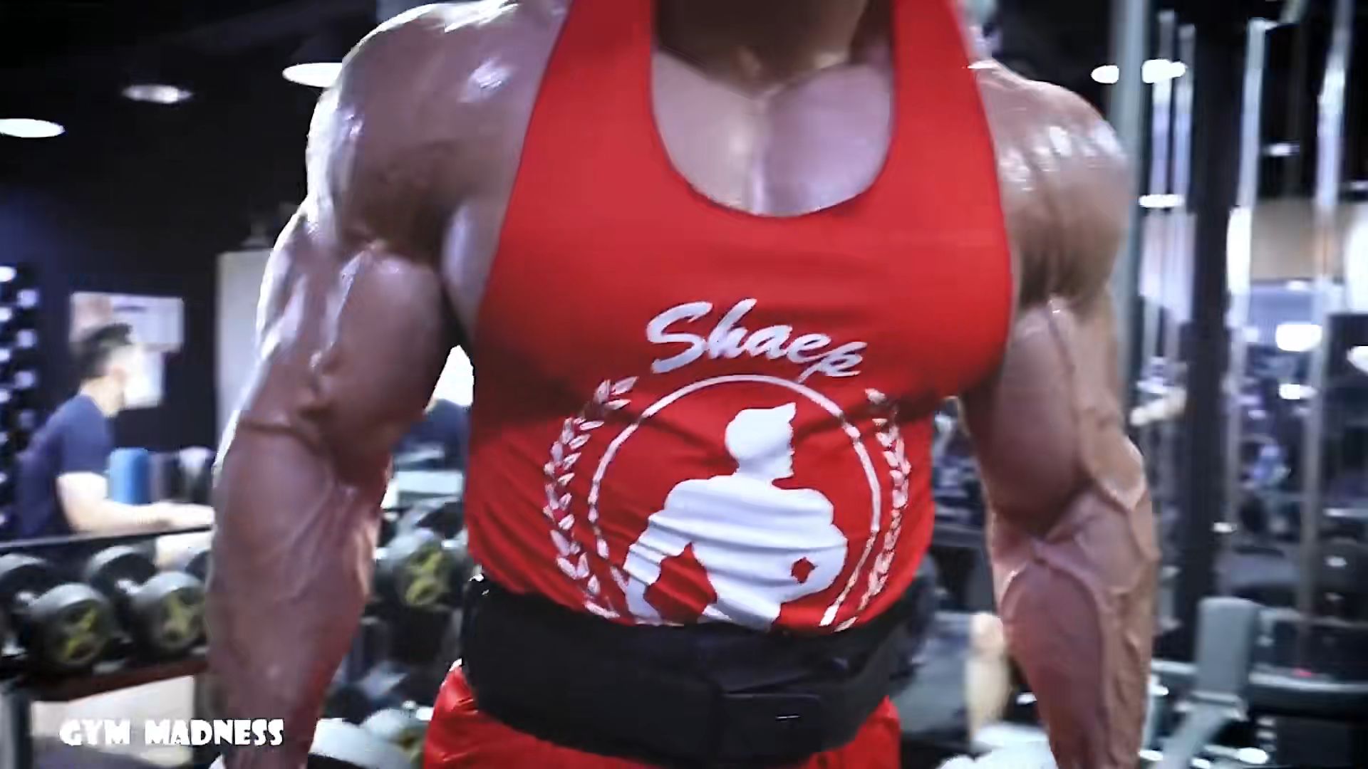 东亚第一,现役最强黄种人,拥有庞大肌肉量却依然肩宽腰细 - 哔哩哔哩