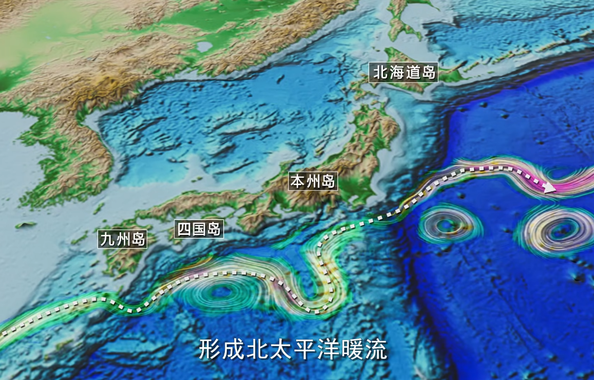 太偏心了！暖流为什么给日本那么多？给中国那么少？【地球知识局】 - 哔哩哔哩