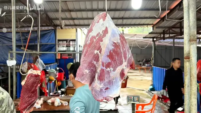 海南定安仙沟牛肉,会跳舞的动动牛 - 哔哩哔哩