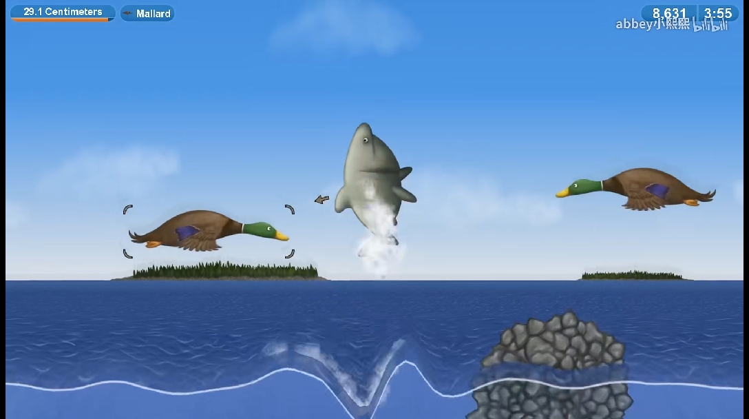 鲑鱼(salmon)海獭(sea otter)海狮(sea lion)灰六鳃鲨(bluntnose six