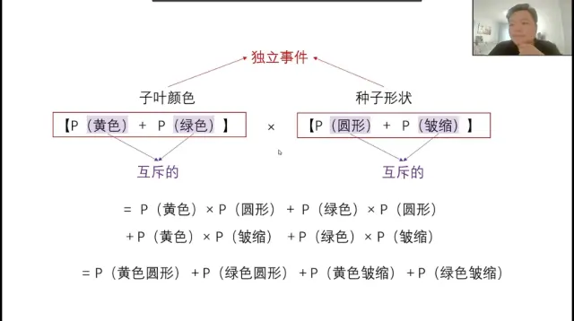 豌豆相对性状图片