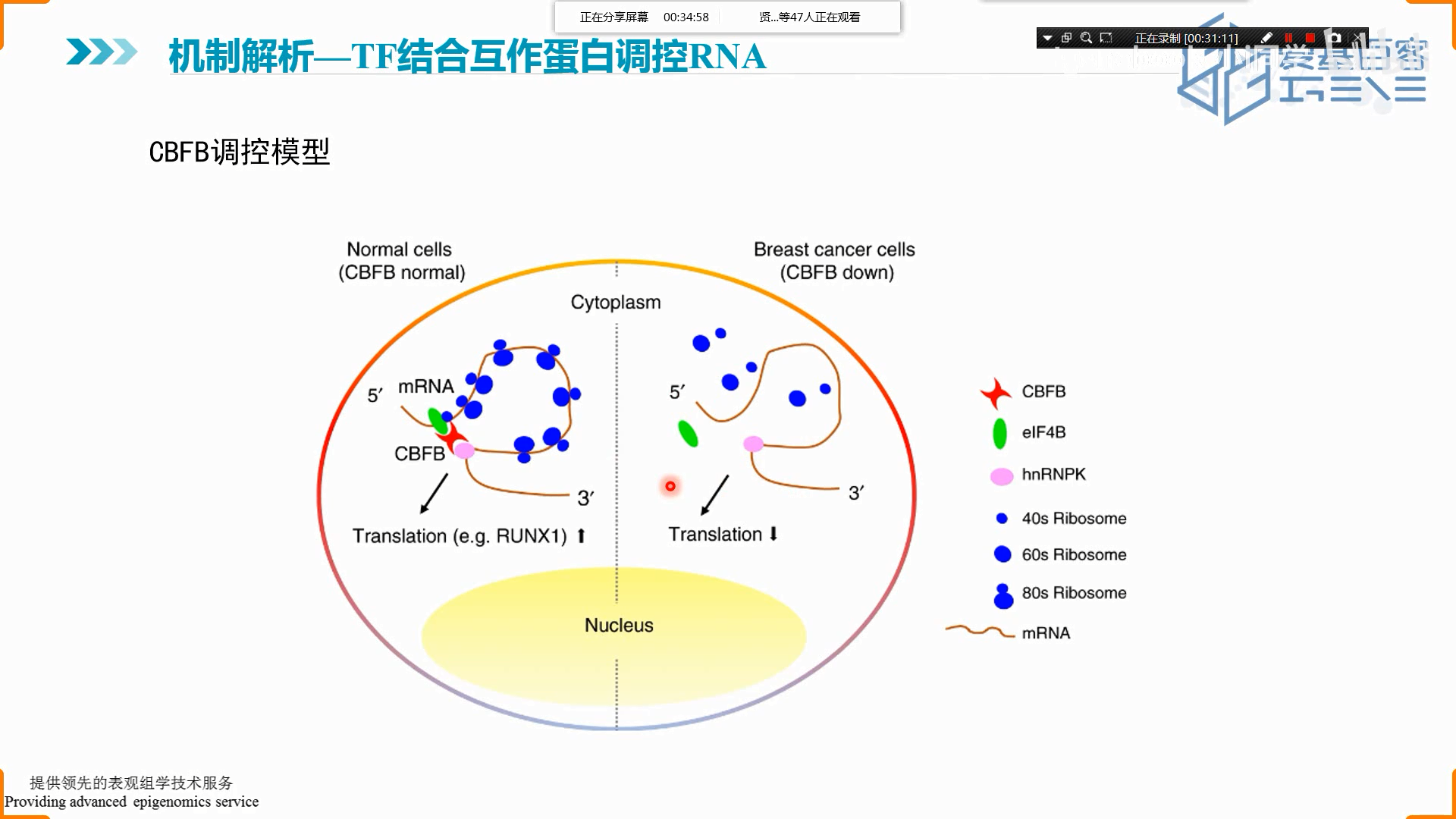 爱基百客-转录因子研究思路4.23 - 哔哩哔哩