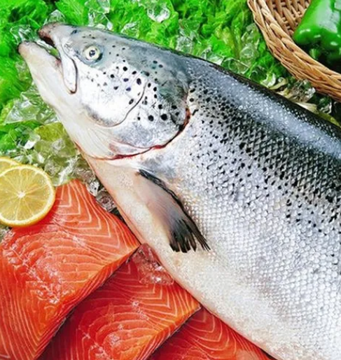 的是2种鳟鱼(三文鳟,金鳟)和4种鲑鱼(太平洋鲑,大西洋鲑,北极白点鲑