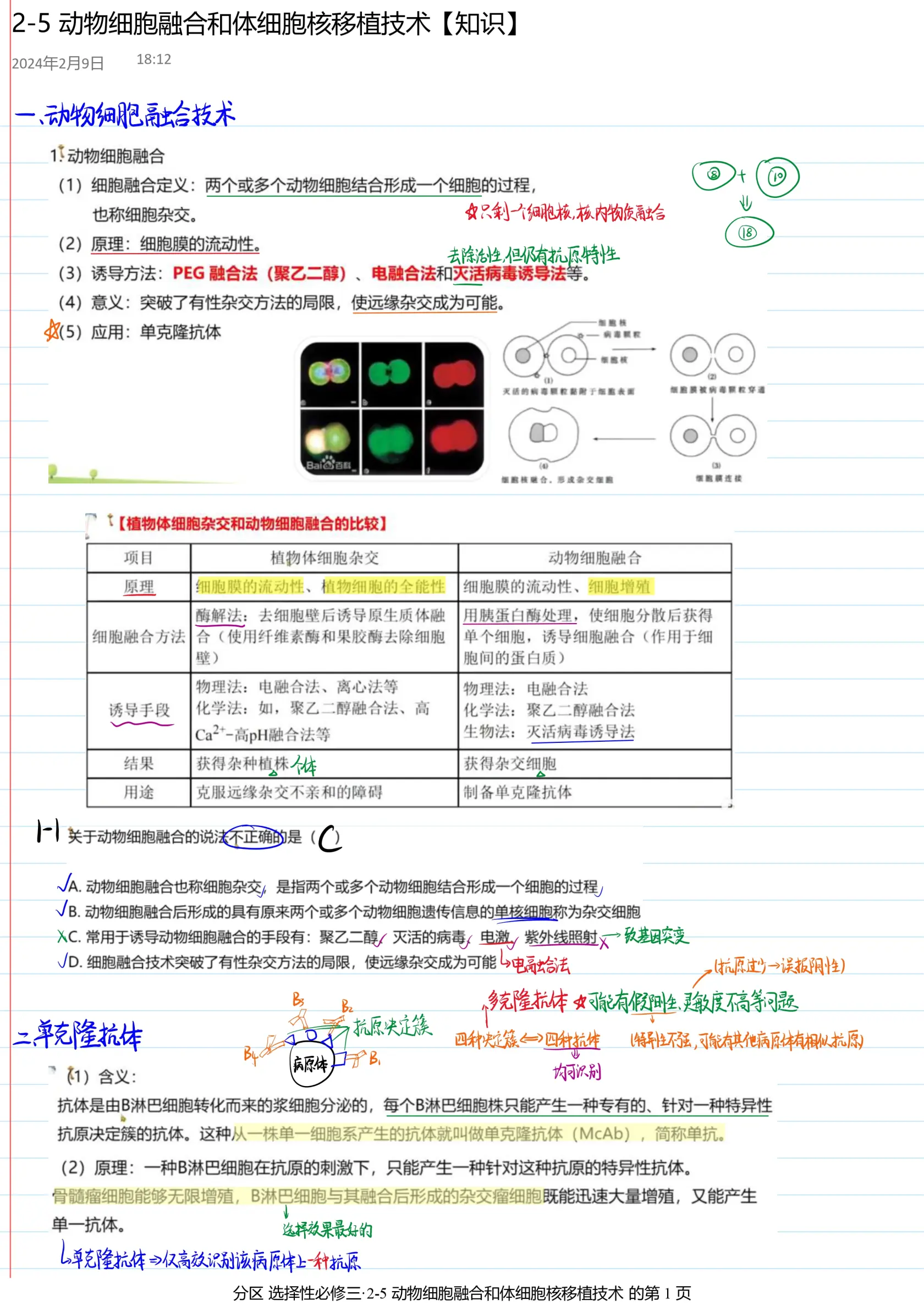 动物体细胞核移植图片