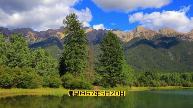 加拿大猎鹰湖事件 近距离触摸ufo - 哔哩哔哩