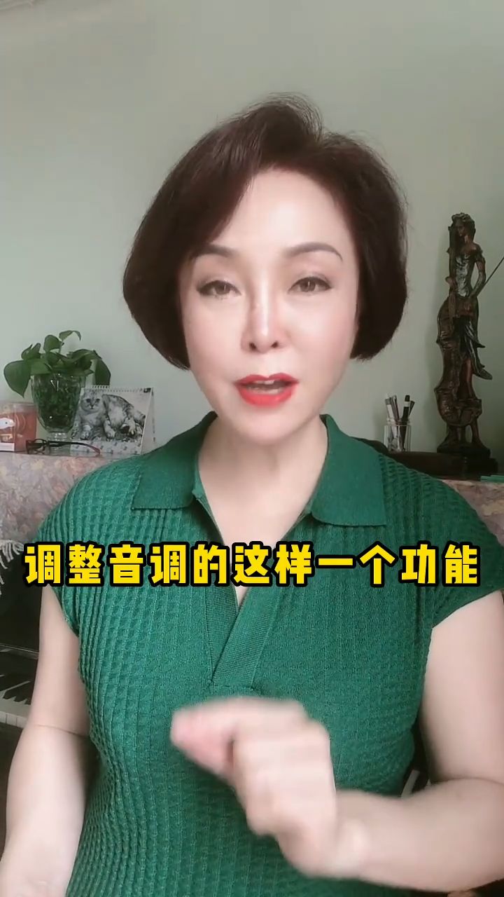 歌手小蚊子图片