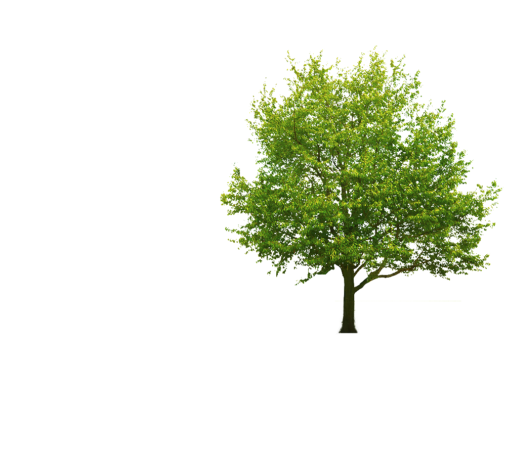 ps抠图新手必学三种抠图方法让你完美扣出99的图片