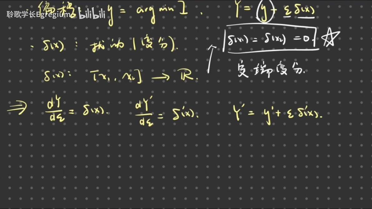  calculus of variations euler 