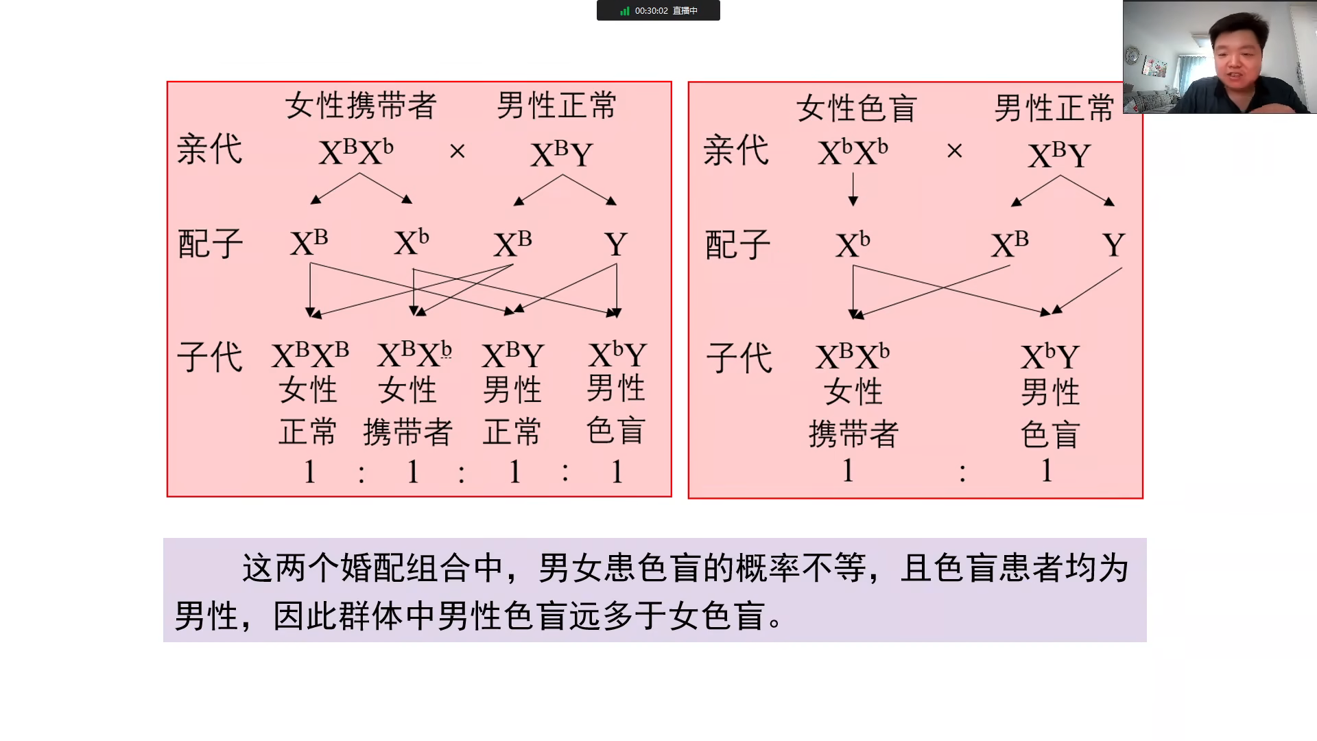 伴性遗传系谱图大招图片