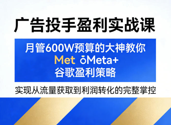 广告投手盈利实战课，月管600W预算的大神教你Meta 谷歌盈利策略，实现从流量获取到利润转化的完整掌控-七宝：认真做好一件事