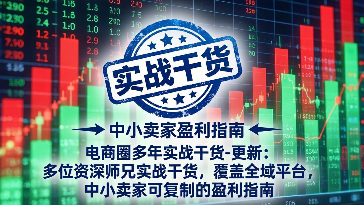 电商圈多年实战干货-更新4月：多位资深师兄实战干货，覆盖全域平台，中小卖家可复制的盈利指南_-七宝：认真做好一件事