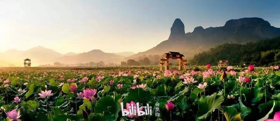 江西·2019石城县第七届旅游文化节暨荷花音乐节