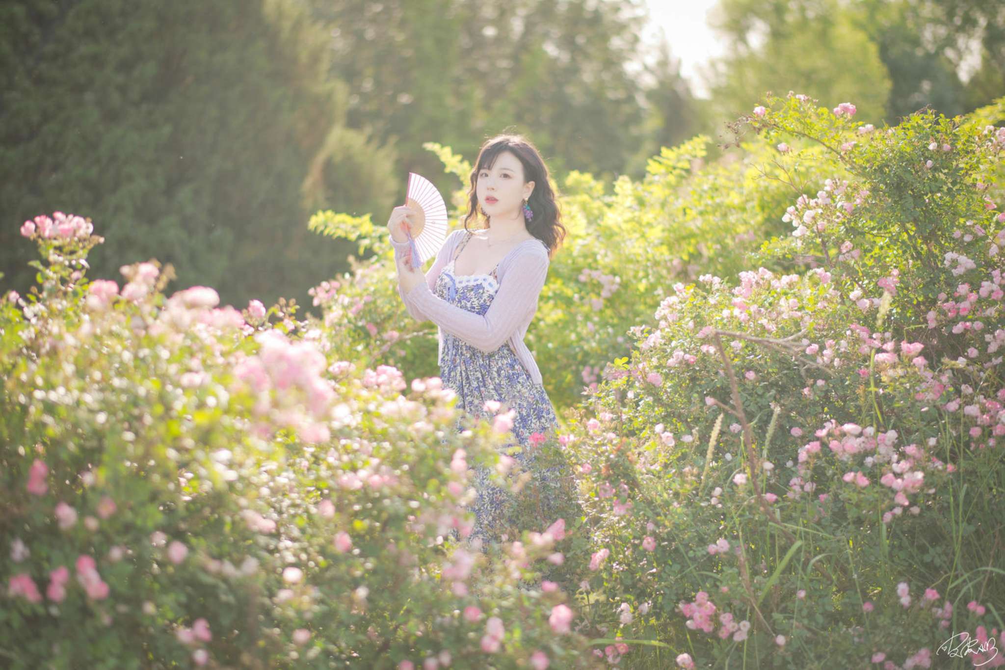 图片[2]-皮皮奶 Vol.068 蔷薇花 [37P-787MB]-吾爱二次元