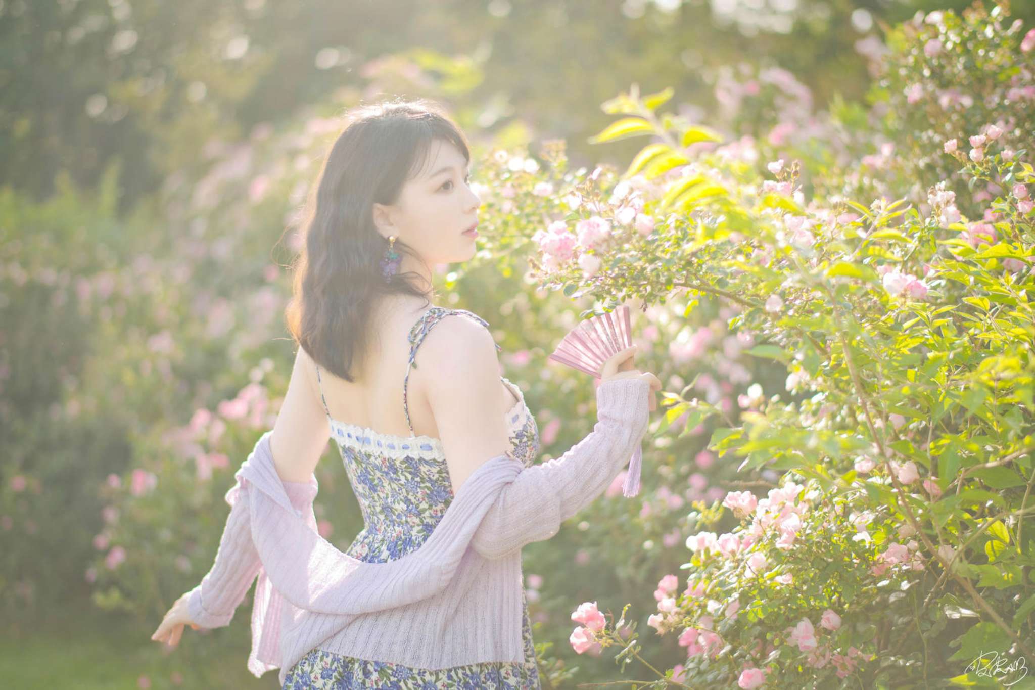 图片[3]-皮皮奶 Vol.068 蔷薇花 [37P-787MB]-吾爱二次元