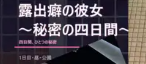【PC/SLG/中文】露出彼女 ～秘密的四日间～Exhibitionist girfriend: Four Secret Days 汉化版【663MB】-马克游戏