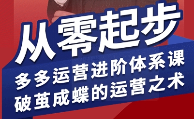 拼多多运营进阶系统课，从零起步，多多运营进阶体系课，破茧成蝶的运营之术（更新26年4月）-七宝：认真做好一件事
