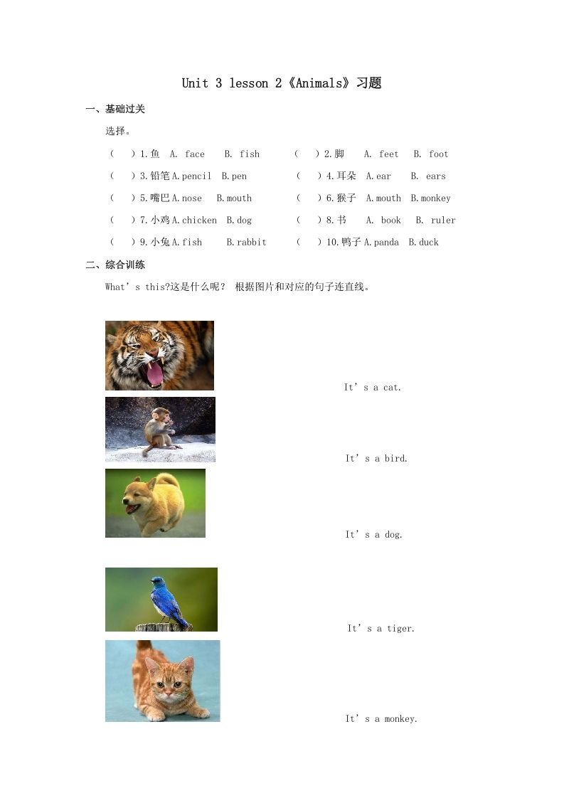 一年级英语上册Animals习题2（人教一起点）-七宝：认真做好一件事