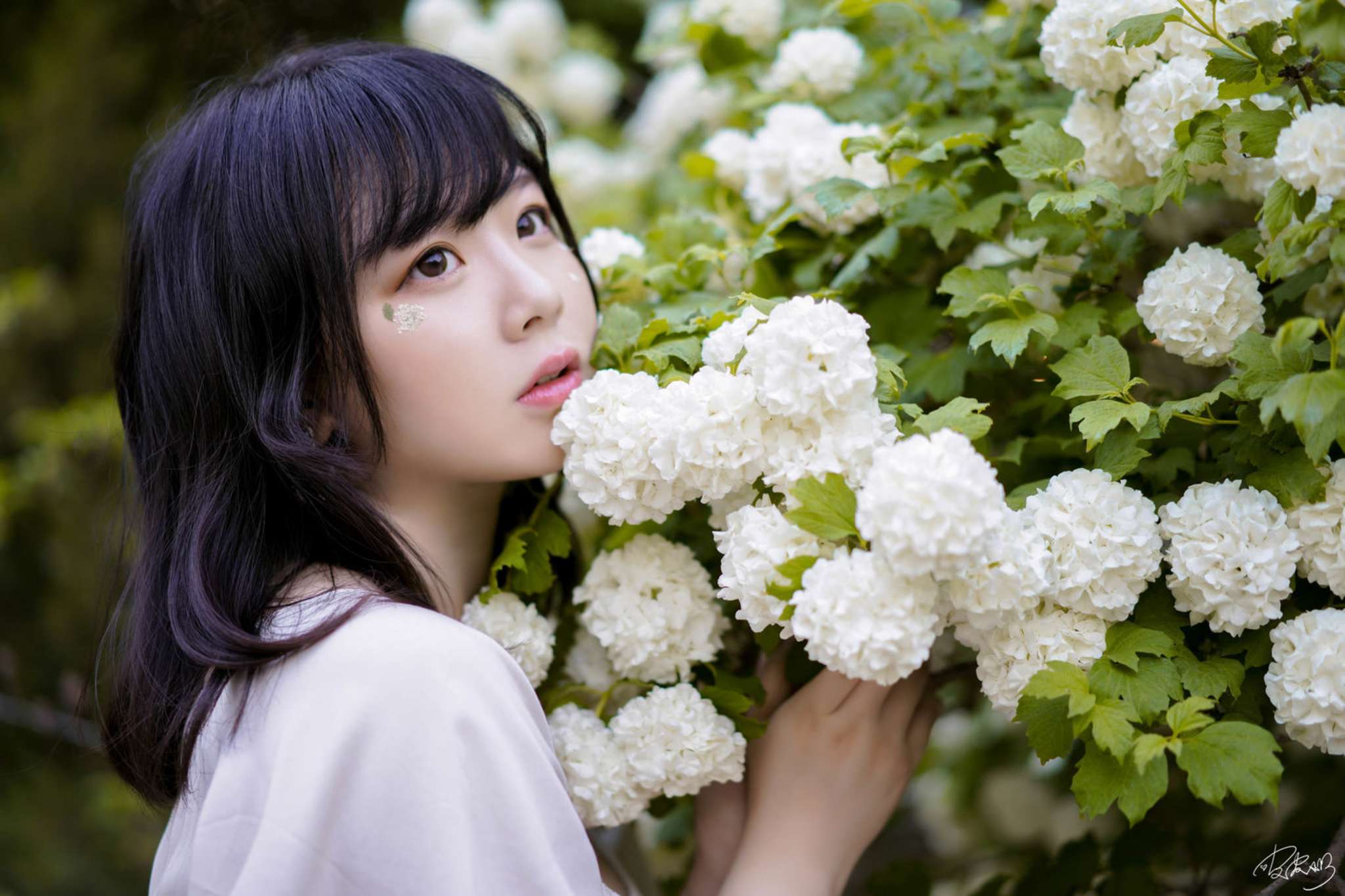 皮皮奶 Vol.073 绣球花 [36P-661MB]-吾爱二次元