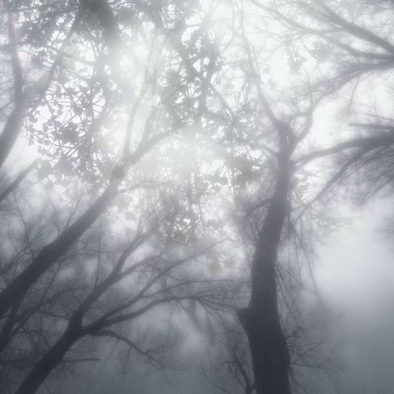 煌xb - 对不起我爱你