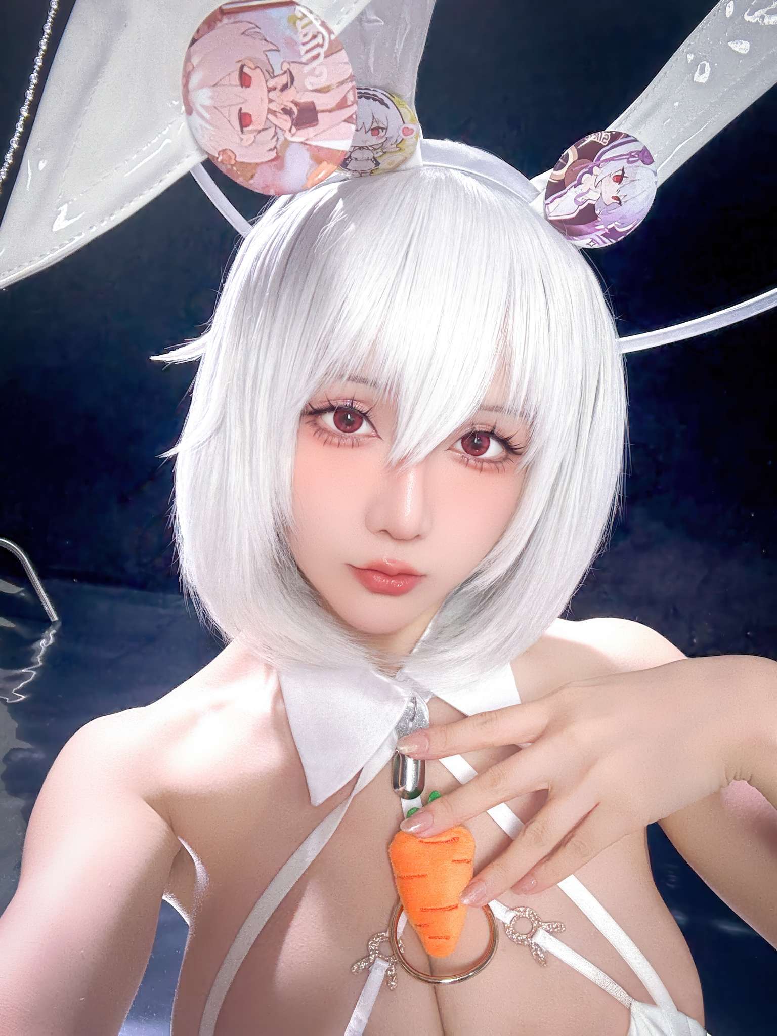 星之迟迟 Vol.258 2026年1月计划F 碧蓝航线 天狼星[58P-351M]-吾爱二次元