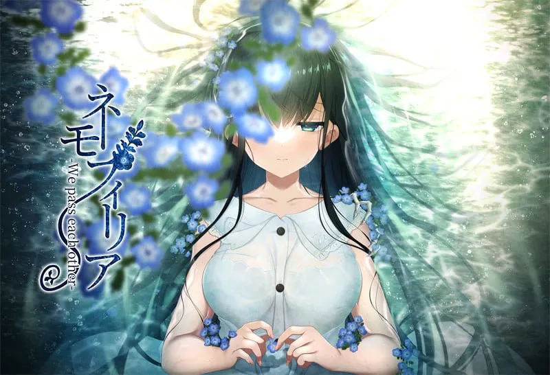 喜林草 -我们擦肩而过-/ネモフィリア We pass each other V1.30|视觉小说|容量1.5GB|官方中文版-星游乐园