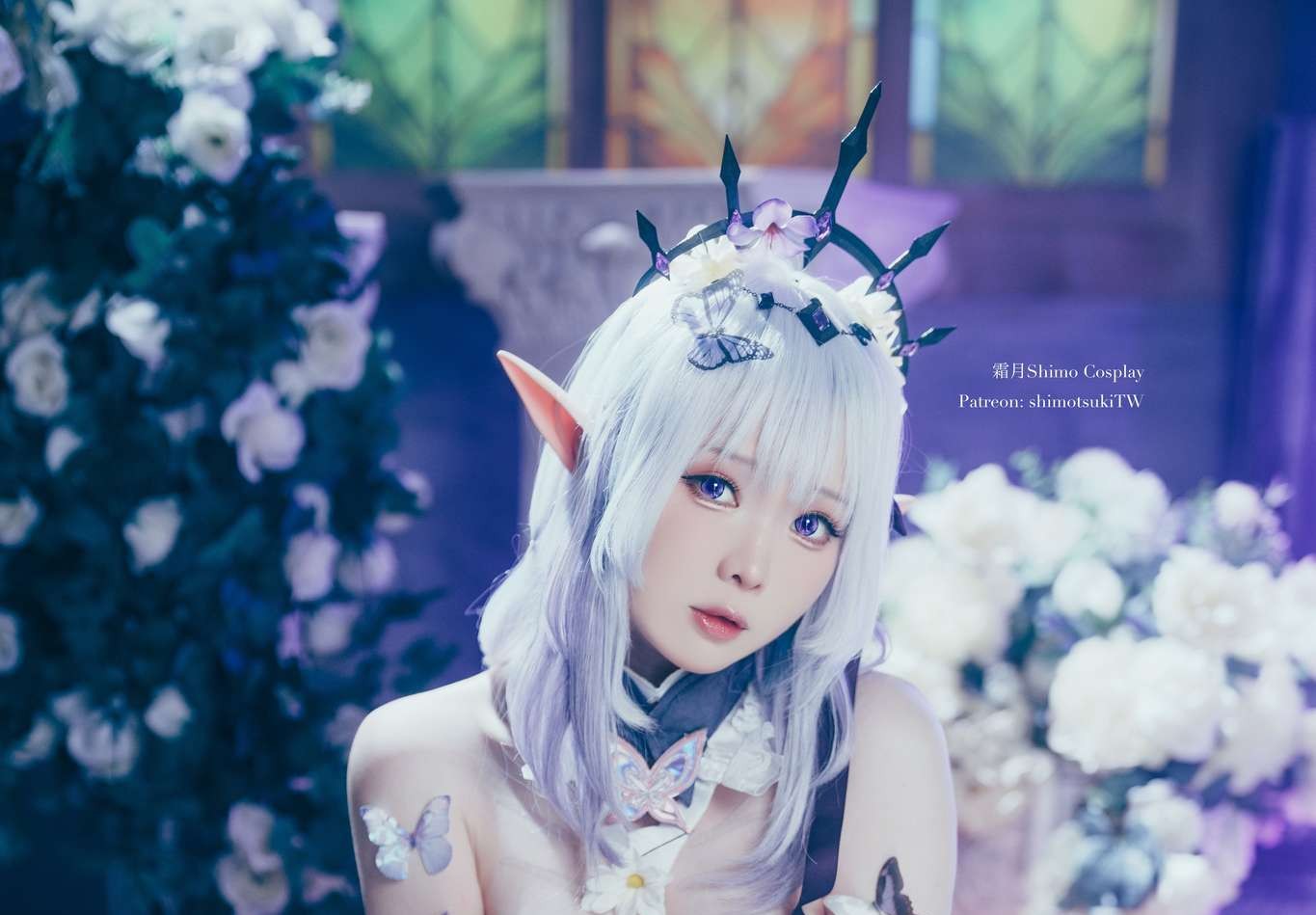 霜月shimo Vol.106 Castorice [23P-231M]-吾爱二次元