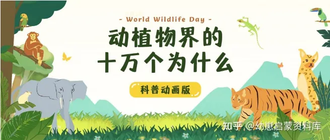 学而思KIDS学堂《动植物界的十万个为什么》-七宝：认真做好一件事