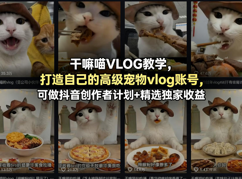 干嘛喵VLOG教学，打造自己的高级宠物vlog账号，可做抖音创作者计划 精选独家收益-七宝：认真做好一件事