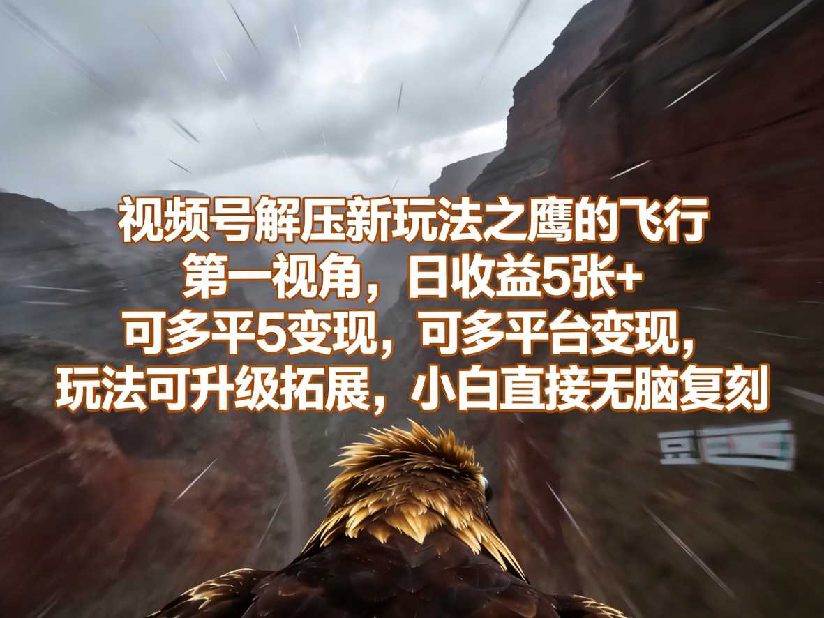 视频号解压新玩法之鹰的飞行第一视角，日收益5张 ，可多平台变现，玩法可升级拓展，小白直接无脑复刻-七宝：认真做好一件事
