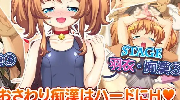 处女×痴汉列车～美少女姐妹·车内强暴～/処女×痴漢列車～美少女姉妹・車内レイプ～ V1.0.2|休闲益智|容量1.4GB|官方中文版-星游乐园