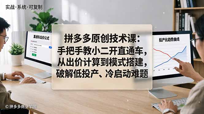 拼多多原创技术课：手把手教小二开直通车，从出价计算到模式搭建，破解低投产、冷启动难题_-七宝：认真做好一件事