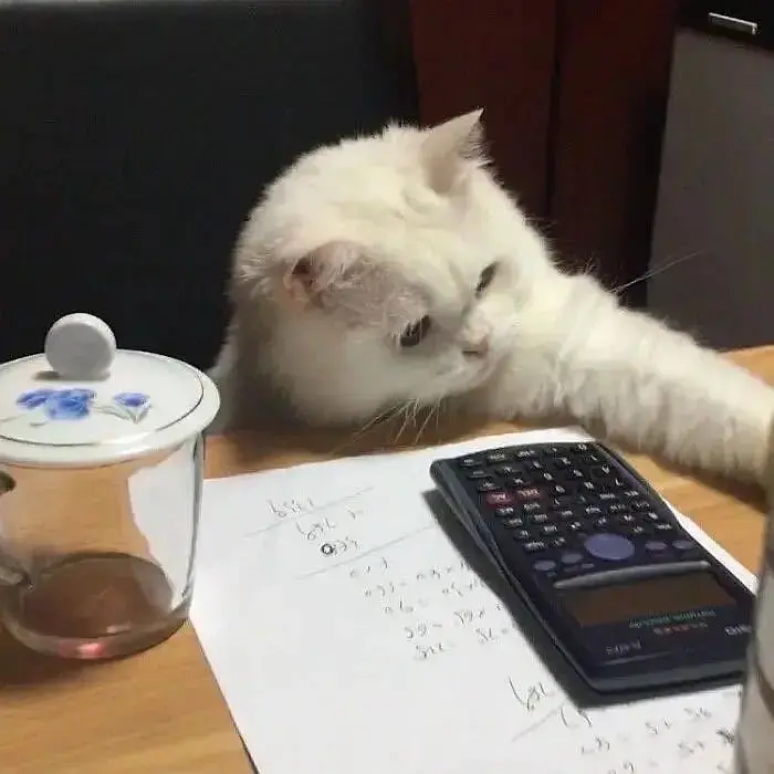 数组