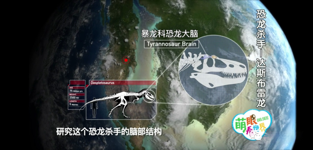 图片[3]-《萌眼看世界》大百科全套视频，4-12岁孩子的全脑科学课堂-七宝：认真做好一件事