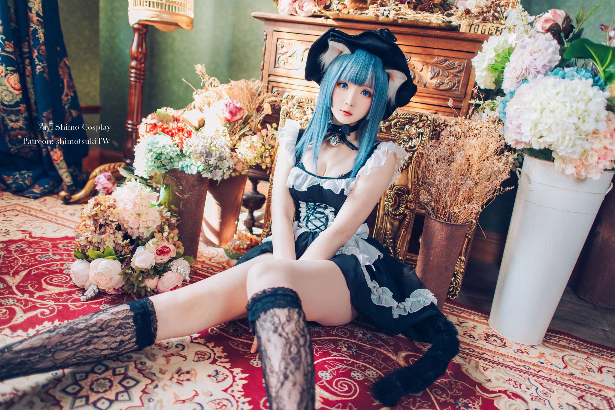 霜月shimo Vol.119 Original Cat Witch[14P-272M]-吾爱二次元
