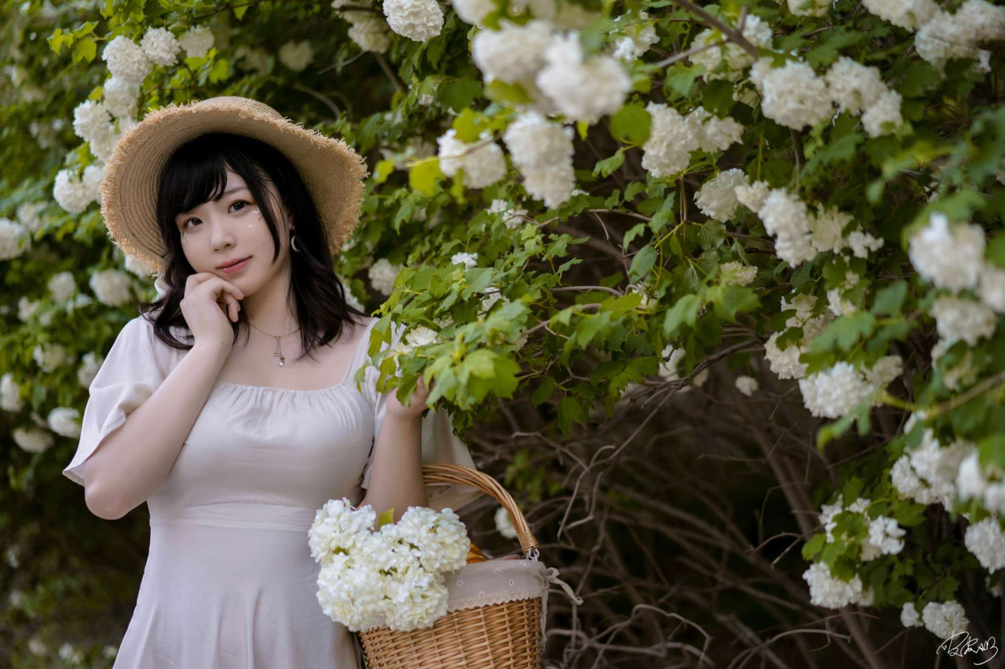 皮皮奶 Vol.073 绣球花 [36P-661MB]-吾爱二次元