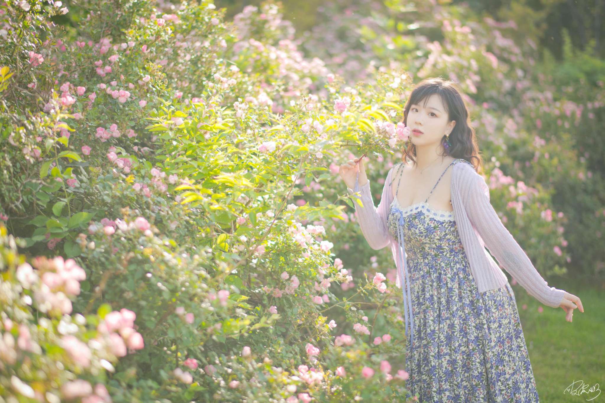 皮皮奶 Vol.068 蔷薇花 [37P-787MB]-吾爱二次元