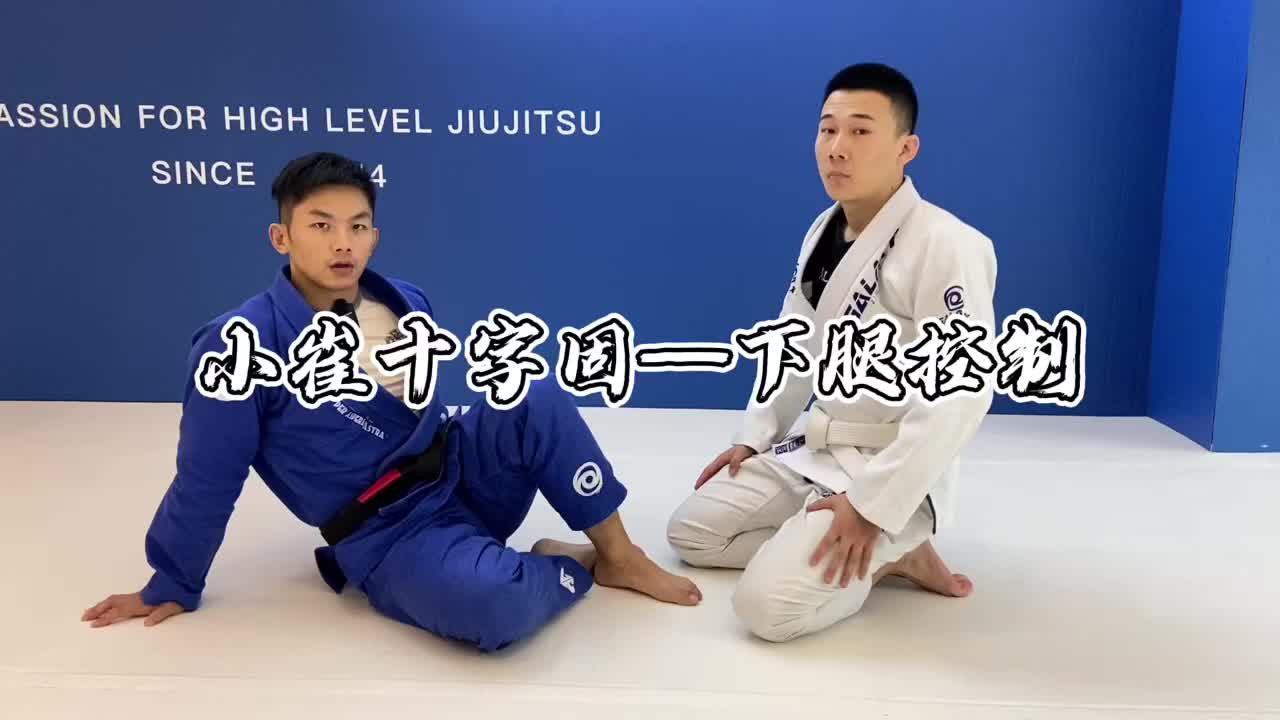【巴西柔术教学】小崔十字固_哔哩哔哩_bilibili