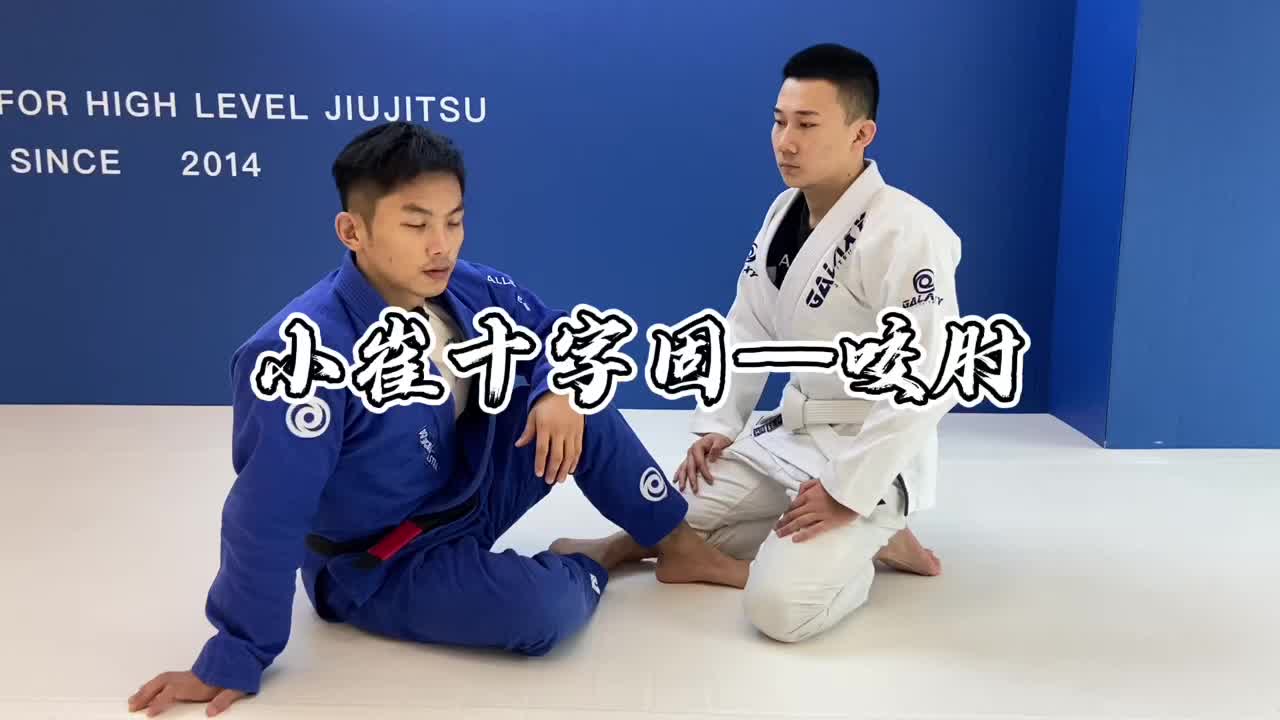 【巴西柔术教学】小崔十字固_哔哩哔哩_bilibili