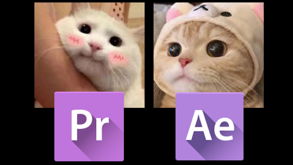 未成年小男孩尝试向15家商店买烟，会有人卖给他吗？（社会实验）_哔哩 