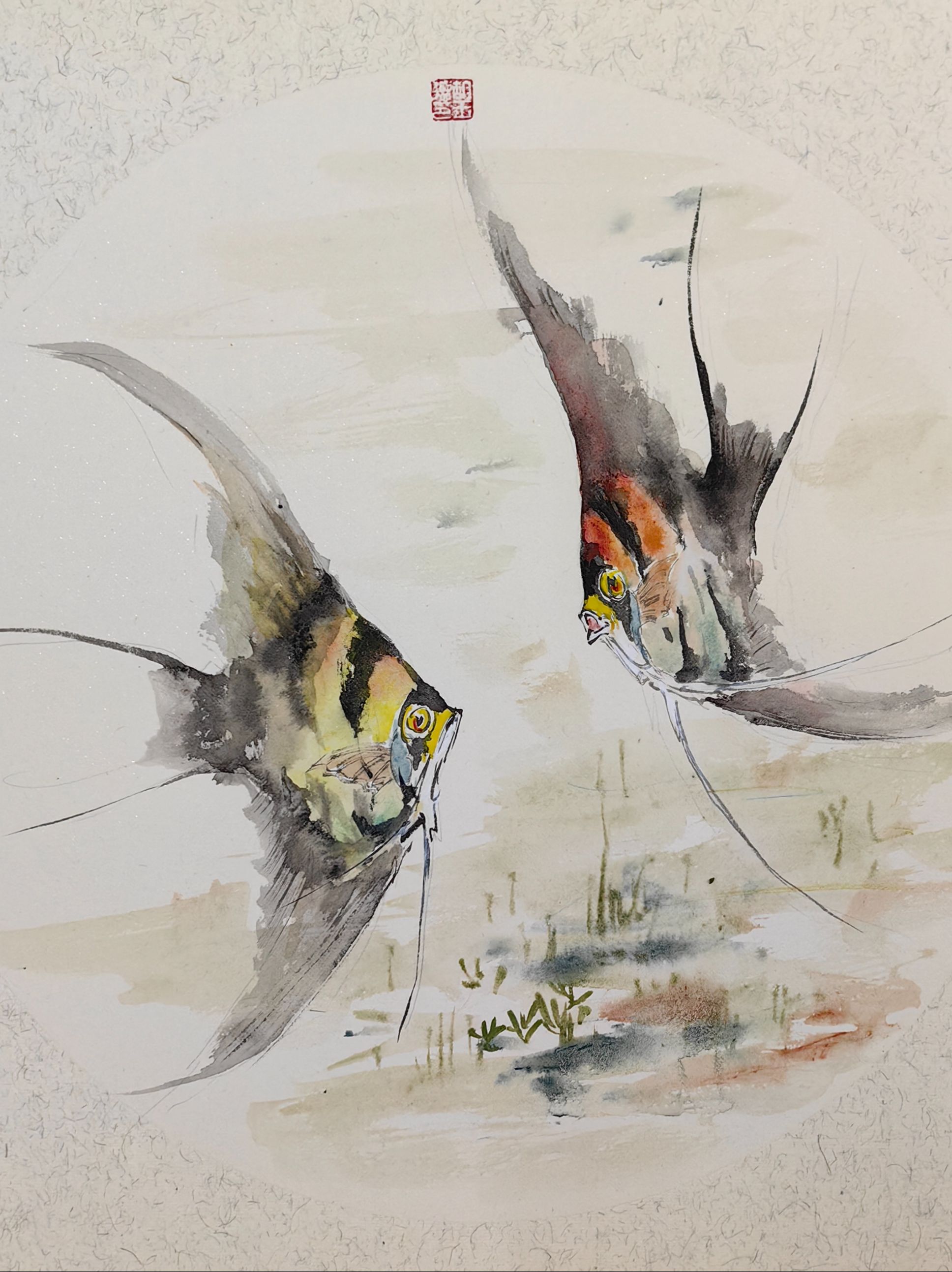 "热带鱼皇后"