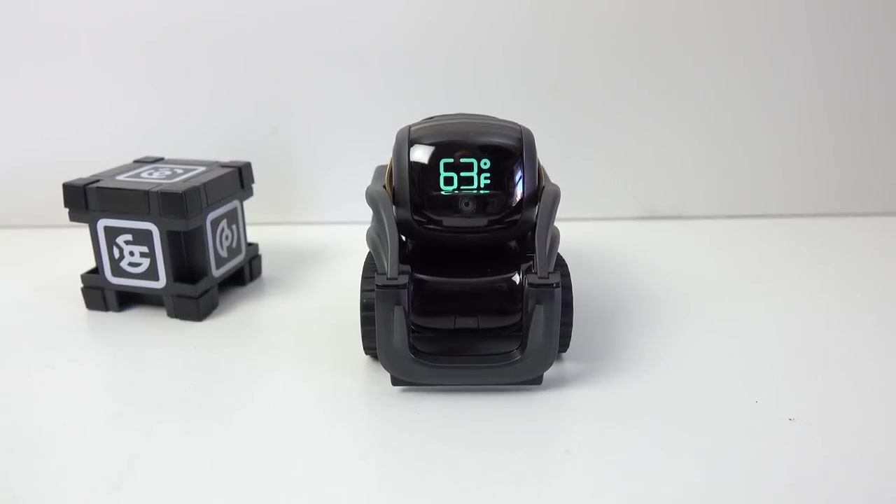 最新作売れ筋が満載 Vector Anki 7月末まで Robot Robot Helpful A その他 - www.dxpatrol.pt